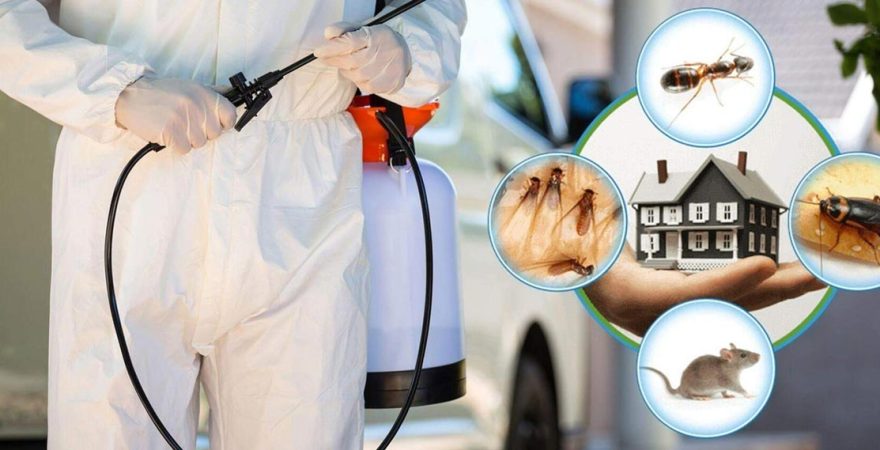 Zeytinburnu Böcek İlaçlama