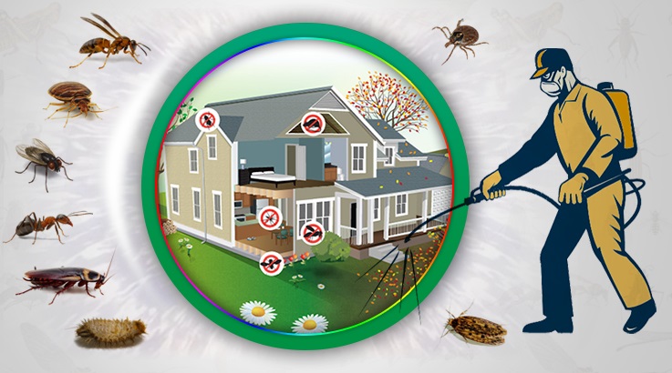 Zeytinburnu Böcek İlaçlama